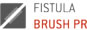 Ovesco OTSC Fistula Brush PR