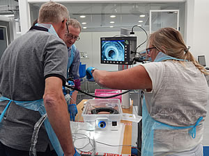 Endoscopic Full Thickness Resection
using the Ovesco FTRD System Training Day(s)
